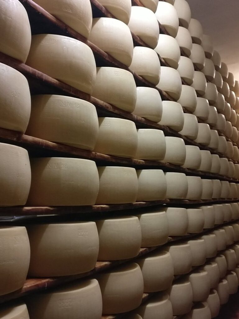 Parmigiano Reggiano guide - aging on wooden shelves