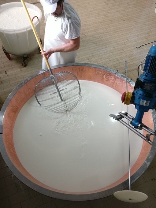Parmigiano Reggiano guide - mixing the milks