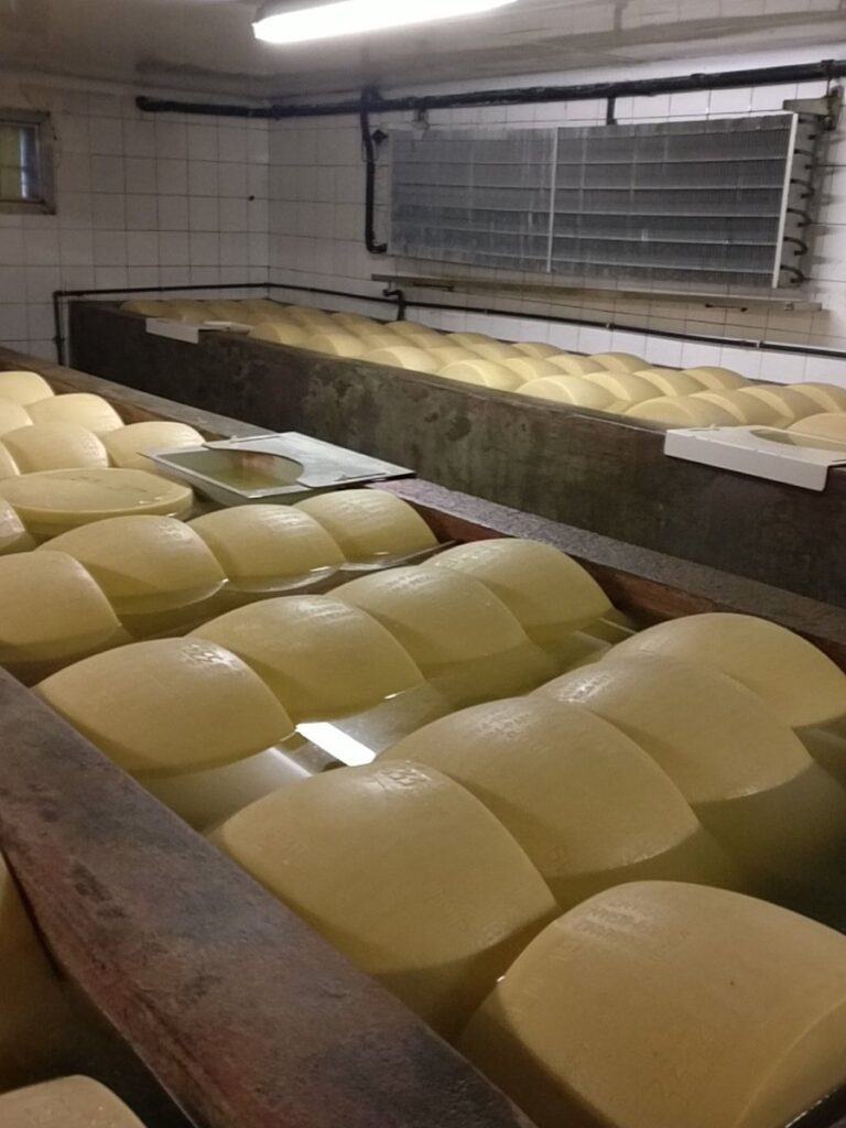 Parmigiano Reggiano guide - the brine bath